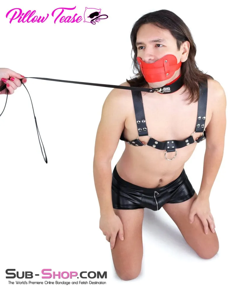 Red Stuffed Panel-Style Bondage Gag - DL2479 Deluxe Plug