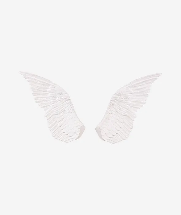 Memorabilia Mvsevm Wings - 2 Styles