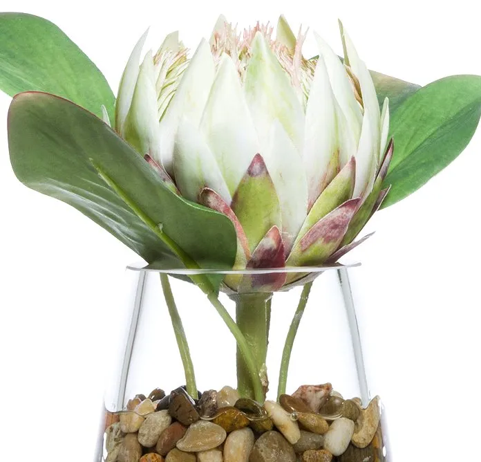 Tropical Protea Bloom Stateroom Bouquet Yacht Silks Arrangement