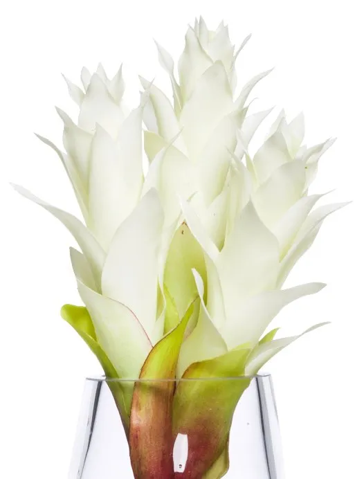 White Bromeliad Stateroom Bouquet Yacht Silks Arrangement